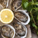oysters-shellfish_75805128-1600x1600